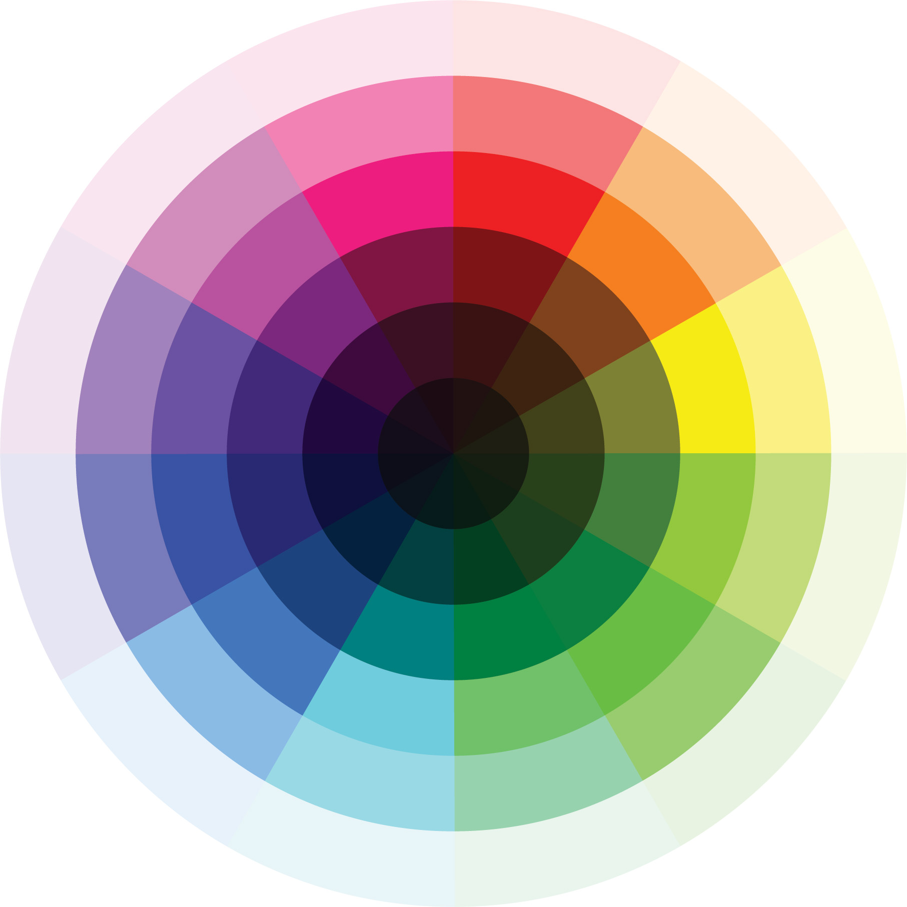 Seeing Color